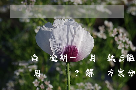 白條逾期一個月還款后能否繼續(xù)使用？解決方案分享